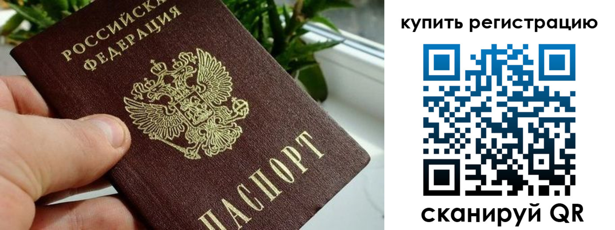 прописка гарантия в Тереке